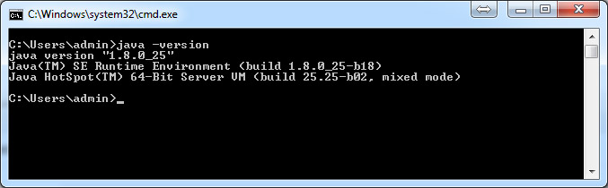 java version command result