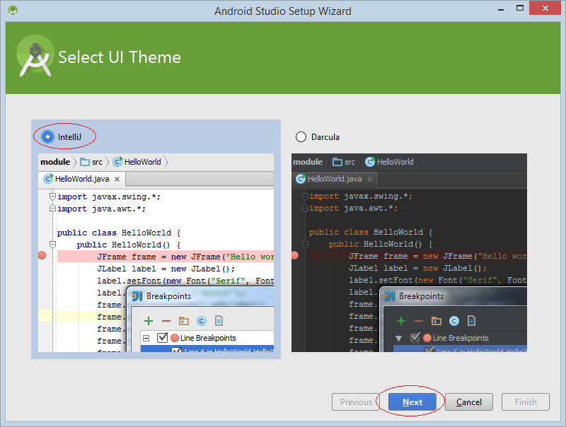 Step 9: Select theme